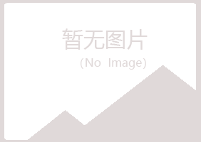 衡阳夏岚采矿有限公司